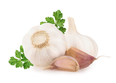 Garlic