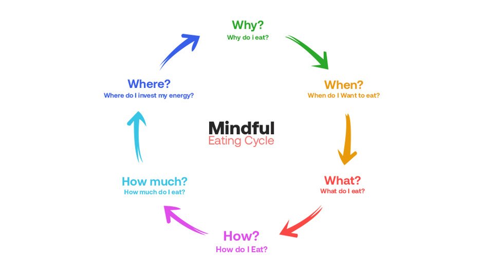 Mindful eating cycle