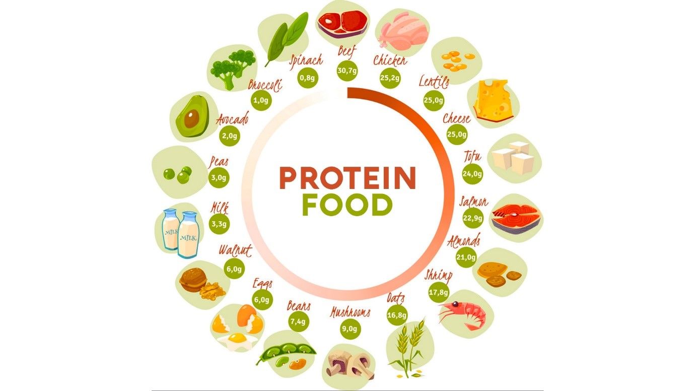 Protein food