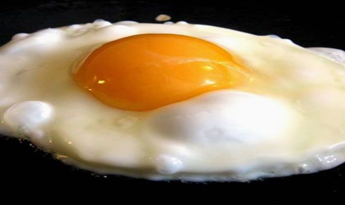 Fried Egg
