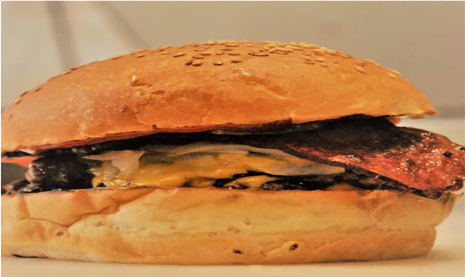 Organic Vegetarian Burger