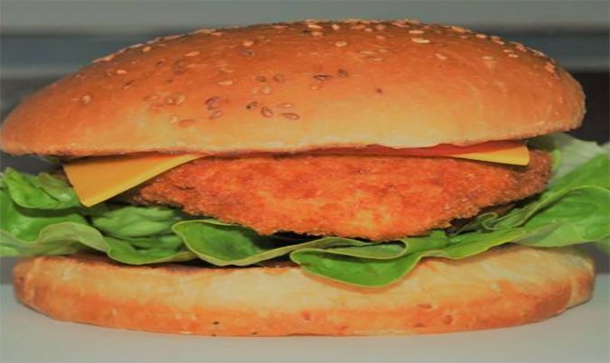 Chicken Schnitzel Combo