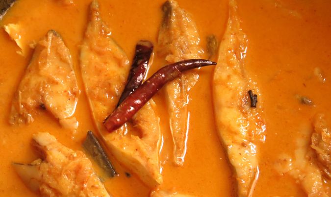 Fish Malai Curry