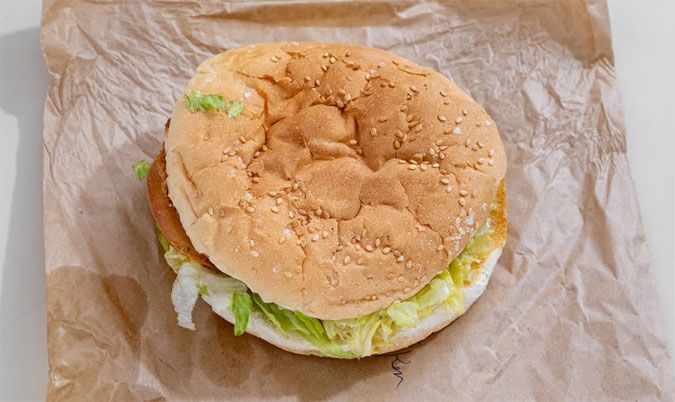 Plain Chicken Burger