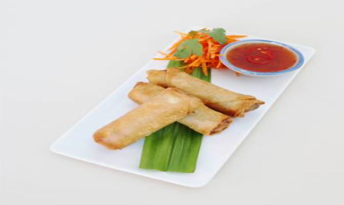 Homemade Spring Roll (VG)