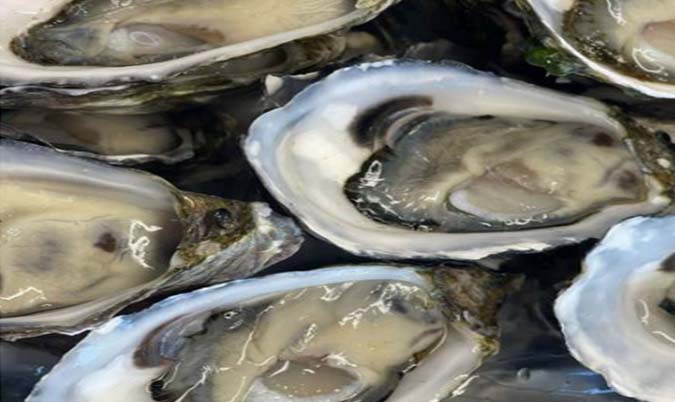 Fresh Oysters (Coffin Bay)(AUS) - Half Dozen(6)