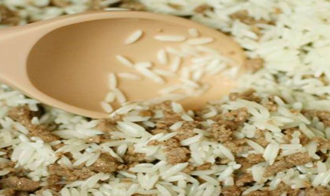 Meat Rice