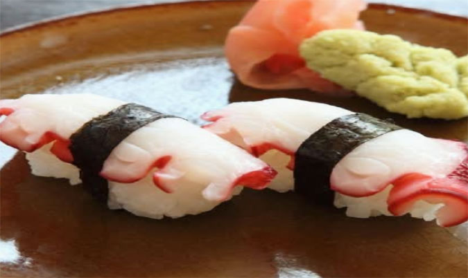 Octopus Nigiri