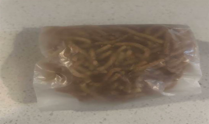 Braised Chicken Chow Mein