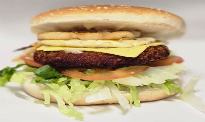 Chicken Burger the Lot