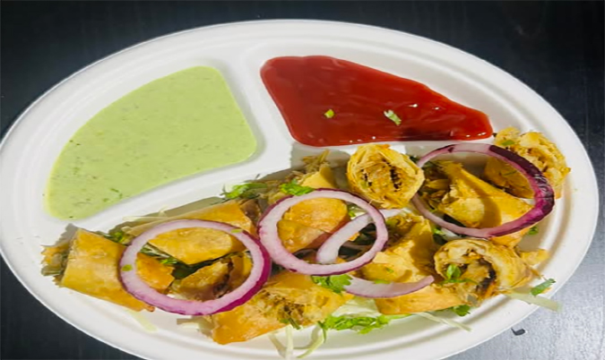 Veg Noodle Spring Roll
