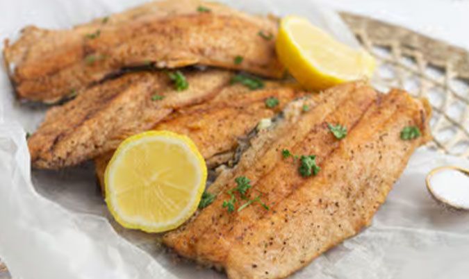 Coral Trout