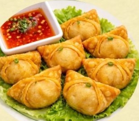 Crispy Chicken Dumplings