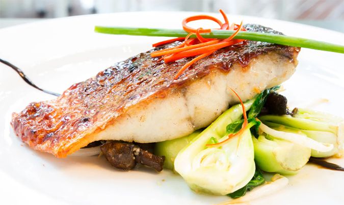 Barramundi