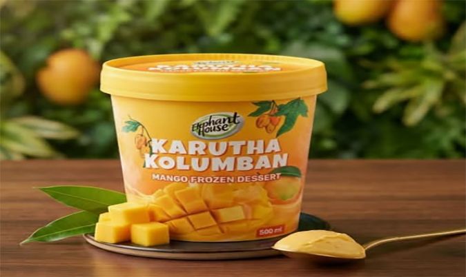 Elephanthouse ice cream mango