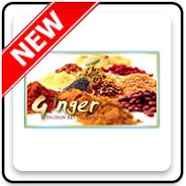 Ginger Indian Restaurant - Harris Park